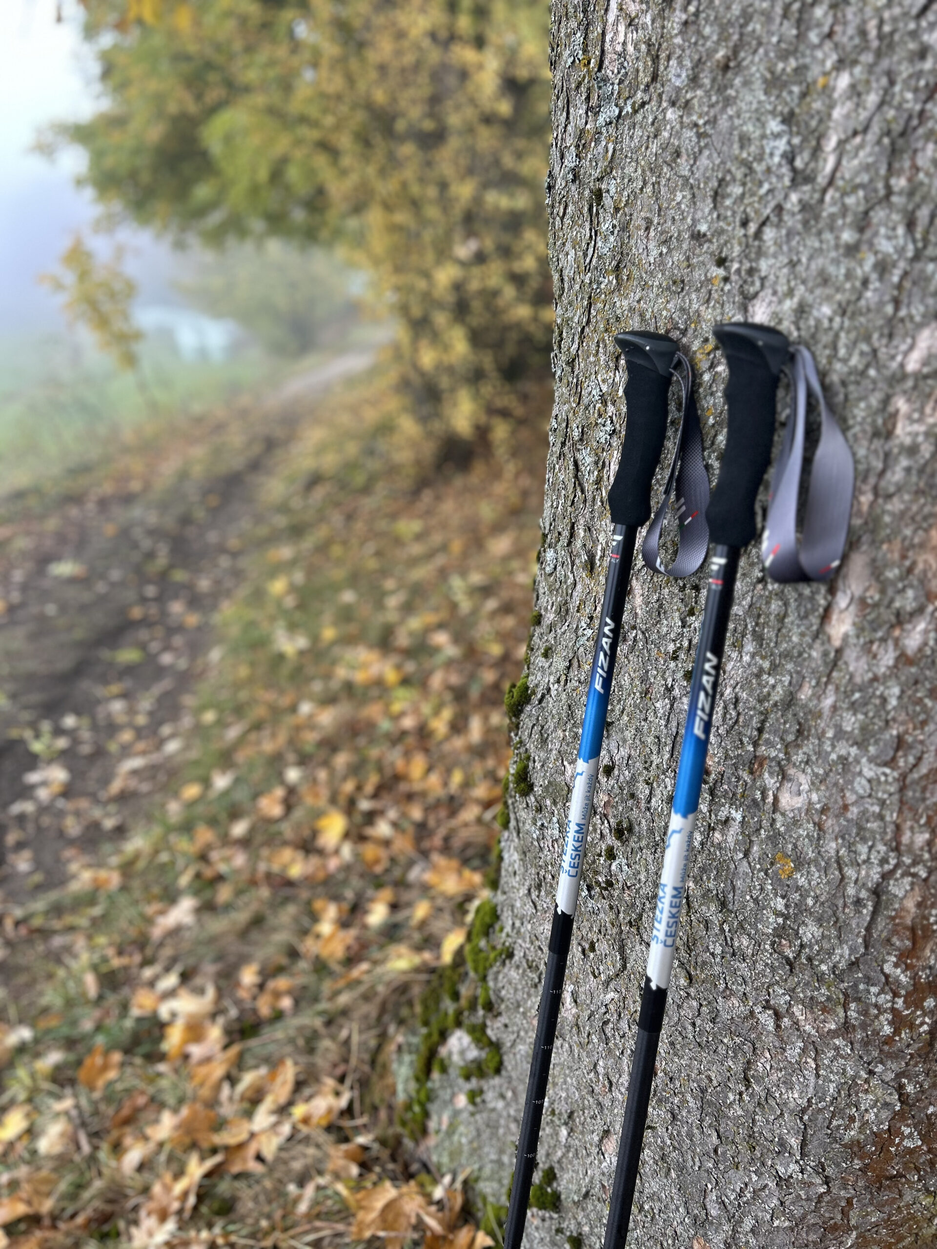 Trekařské hole Fizan Compact v designu Stezky Českem - Obrázek 3